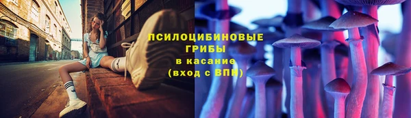 ECSTASY Ладушкин