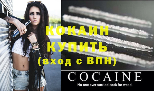 ECSTASY Ладушкин