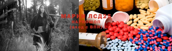 ECSTASY Ладушкин
