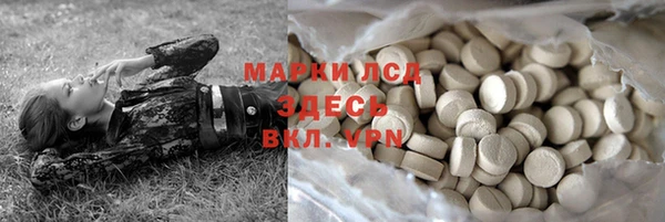 ECSTASY Ладушкин